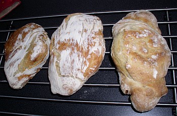 Ciabatta