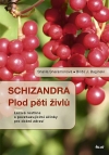 Schizandra - plod pěti živlů